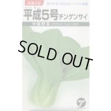 送料無料　[中国野菜]　チンゲンサイ　平成5号　10ml　(株)タカヤマシード