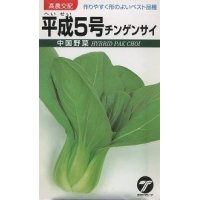 [中国野菜]　チンゲンサイ　平成5号 10ml　 （株）タカヤマシード