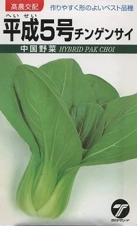 [中国野菜]　チンゲンサイ　平成5号 10ml　 （株）タカヤマシード
