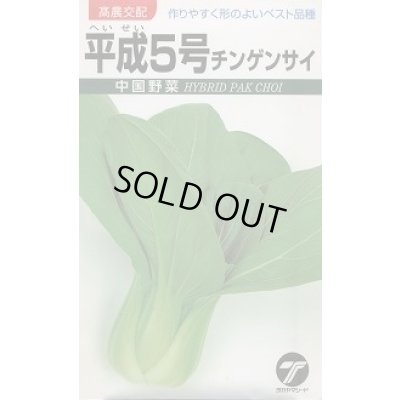 画像1: 送料無料　[中国野菜]　チンゲンサイ　平成5号　10ml　(株)タカヤマシード