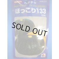 送料無料　[かぼちゃ]　ほっこり133　100粒　タキイ種苗(株)