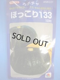 送料無料　[かぼちゃ]　ほっこり133　100粒　タキイ種苗(株)