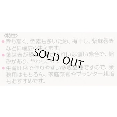 画像2: 送料無料　[葉物]　赤しそ　芳香うら赤しそ　5ml　松永種苗(株)