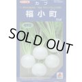 送料無料　[かぶ]　福小町　20ml　タキイ種苗(株)