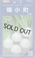 送料無料　[かぶ]　福小町　20ml　タキイ種苗(株)