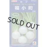 送料無料　[かぶ]　福小町　20ml　タキイ種苗(株)