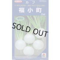 送料無料　[かぶ]　福小町　20ml　タキイ種苗(株)