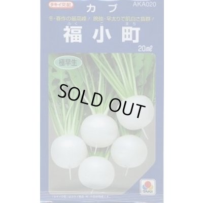 画像1: 送料無料　[かぶ]　福小町　20ml　タキイ種苗(株)