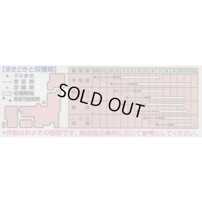 画像2: 送料無料　[とうがらし]　伏見甘長　180粒　タキイ種苗(株)　GF