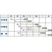 画像2: [大根]　冬の浦総太り　5ml　カネコ交配 (2)