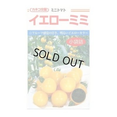 画像1: 送料無料　[トマト/ミニトマト]　イエローミミ　100粒　カネコ種苗（株）