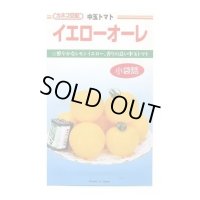 送料無料　[トマト/中玉トマト]　イエローオーレ　14粒　カネコ種苗（株）