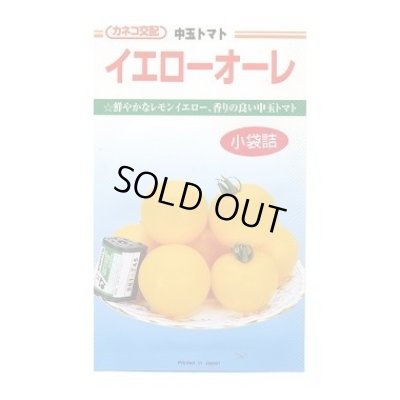画像1: 送料無料　[トマト/中玉トマト]　イエローオーレ　14粒　カネコ種苗（株）