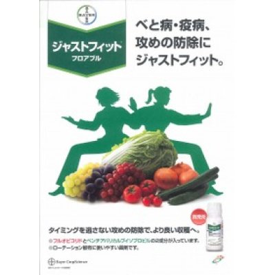 画像2: 農薬　殺菌剤　ジャストミート顆粒　水和剤　100g