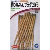 [牛蒡]　香りのよいサラダごぼう　5ｍｌ　（株）タカヤマシード