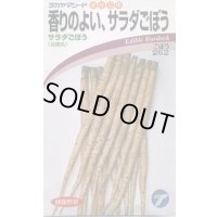 [牛蒡] 香りのよいサラダごぼう 5ml (株)タカヤマシード