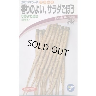 画像1: [牛蒡] 香りのよいサラダごぼう 5ml (株)タカヤマシード