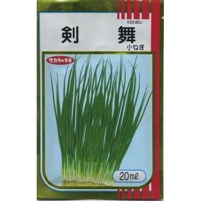 画像1: [ねぎ]　剣舞　20ml　サカタのタネ（株）