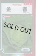 送料無料　[キャベツ]　金春　20ml　（株）サカタのタネ
