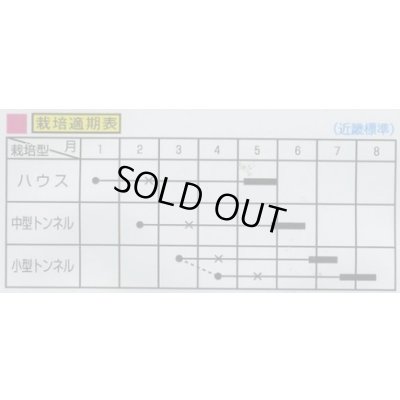 画像2: 送料無料　[瓜類]　まくわ　金城　1ml　大和農園