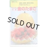 送料無料　[スイカ]　小玉スイカ　金のたまご　10粒　トキタ種苗(株)