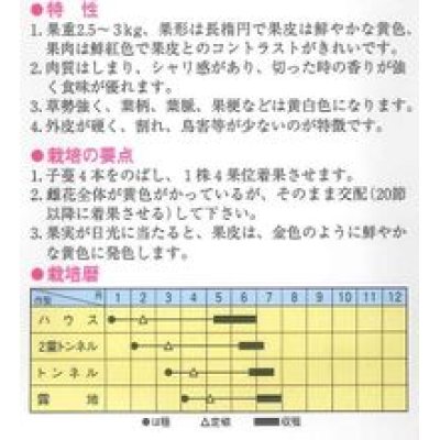 画像2: [スイカ]　小玉スイカ　金のたまご　100粒　トキタ種苗（株）