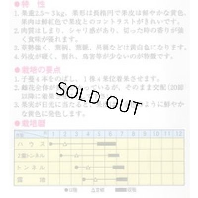 画像2: 送料無料　[スイカ]　小玉スイカ　金のたまご　10粒　トキタ種苗(株)