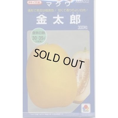 画像1: 送料無料　[瓜類]　マクワ　金太郎　300粒　タキイ種苗(株)