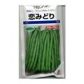 送料無料　[いんげん]　恋みどり　1dl　タキイ種苗(株)