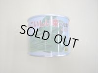 [小松菜]　こいしい菜　2dl　カネコ種苗（株）