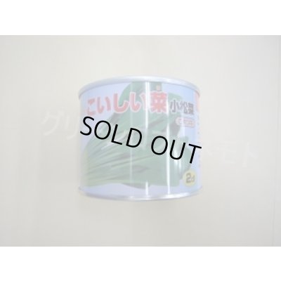 画像1: [小松菜]　こいしい菜　2dl　カネコ種苗（株）