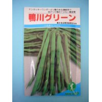 [いんげん]　鴨川グリーン　30ml　ヴィルモランみかど