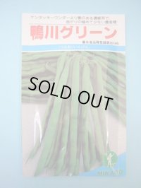 送料無料　[いんげん]　鴨川グリーン　30ml　ヴィルモランみかど（株）