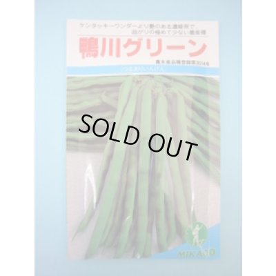 画像1: 送料無料　[いんげん]　鴨川グリーン　30ml　ヴィルモランみかど（株）