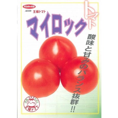 画像3: 送料無料　[トマト]　マイロック　1000粒　(株)サカタのタネ