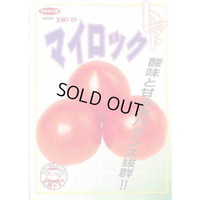 画像3: 送料無料 [トマト] マイロック 1000粒 (株)サカタのタネ