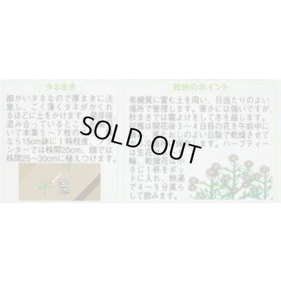 画像2: 送料無料　[ハーブの種]　カモミール　約4150粒　(株)サカタのタネ　実咲（003179）