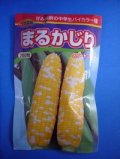 送料無料[とうもろこし]　まるかじり　2000粒　渡辺農事一代交配
