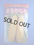 送料無料[とうもろこし]　まるかじり　2000粒　渡辺農事（株）