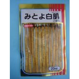 送料無料　[牛蒡]　みとよ白肌　20ml　(株)サカタのタネ