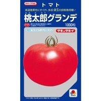 [トマト/桃太郎系]　送料無料！　桃太郎グランデ　1000粒　タキイ種苗（株）