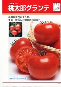 [トマト/桃太郎系]　送料無料！　桃太郎グランデ　ペレット1000粒　タキイ種苗（株）