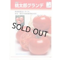 送料無料 [トマト/桃太郎系] 桃太郎グランデ ペレット1000粒 タキイ種苗(株)