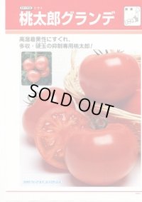 送料無料 [トマト/桃太郎系] 桃太郎グランデ ペレット1000粒 タキイ種苗(株)