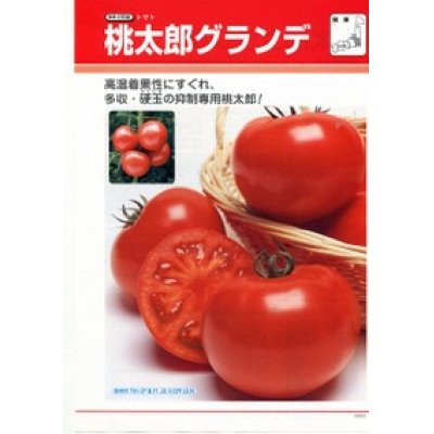 画像3: [トマト/桃太郎系]　送料無料！　桃太郎グランデ　1000粒　タキイ種苗（株）