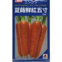 送料無料　[人参]　夏蒔鮮紅五寸　20ml　タキイ種苗