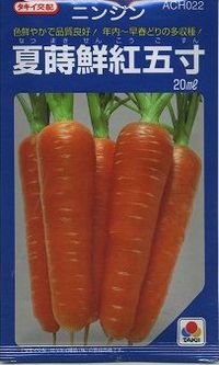送料無料　[人参]　夏蒔鮮紅五寸　20ml　タキイ種苗