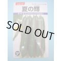 送料無料　[キュウリ]　夏の輝　1.1ml　(株)タカヤマシード