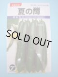 送料無料　[キュウリ]　夏の輝　1.1ml　(株)タカヤマシード