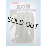 送料無料　[キュウリ]　夏の輝　1.1ml　(株)タカヤマシード